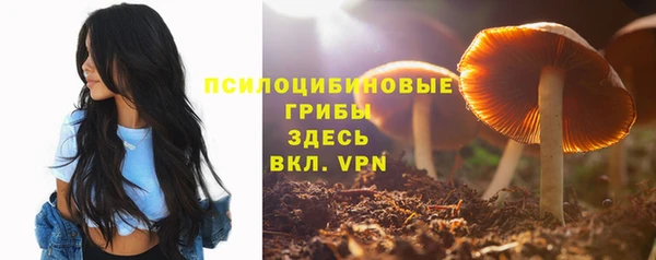 мет Заволжск