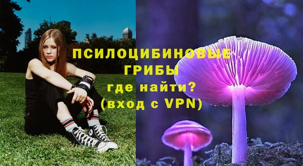 мет Заволжск