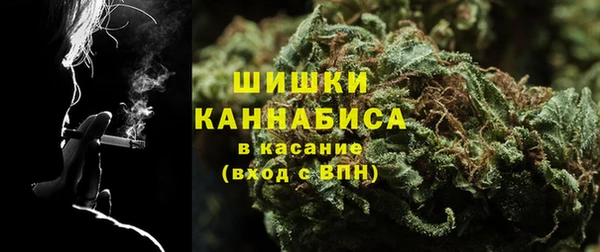 2c-b Ельня