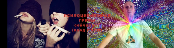 ECSTASY Заволжье