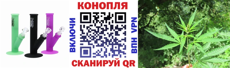 Купить  Касимов  Бошки марихуана MAZAR 